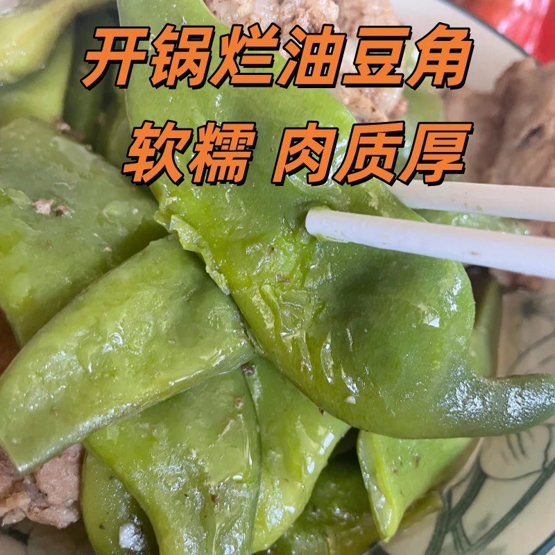 正宗油豆角新鲜现摘开锅烂当季农家蔬菜