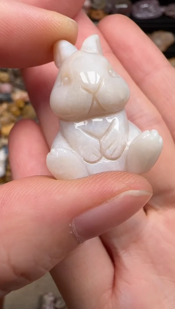 硅化珊瑚（珊瑚玉）未镶嵌颈饰109