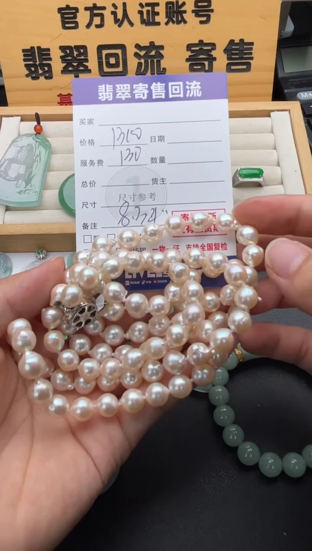 颈饰未镶嵌海水珍珠10147098