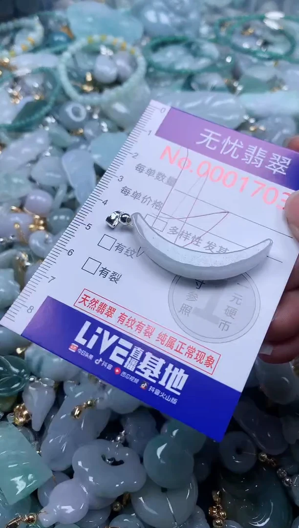 翡翠未镶嵌吊坠(不含链)1703