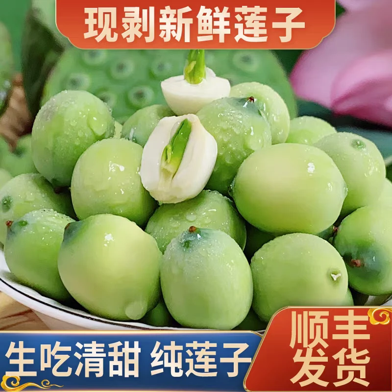 新鲜莲子 安徽芜湖现采现拨新鲜莲子嫩莲子脆嫩清甜【顺丰包邮】