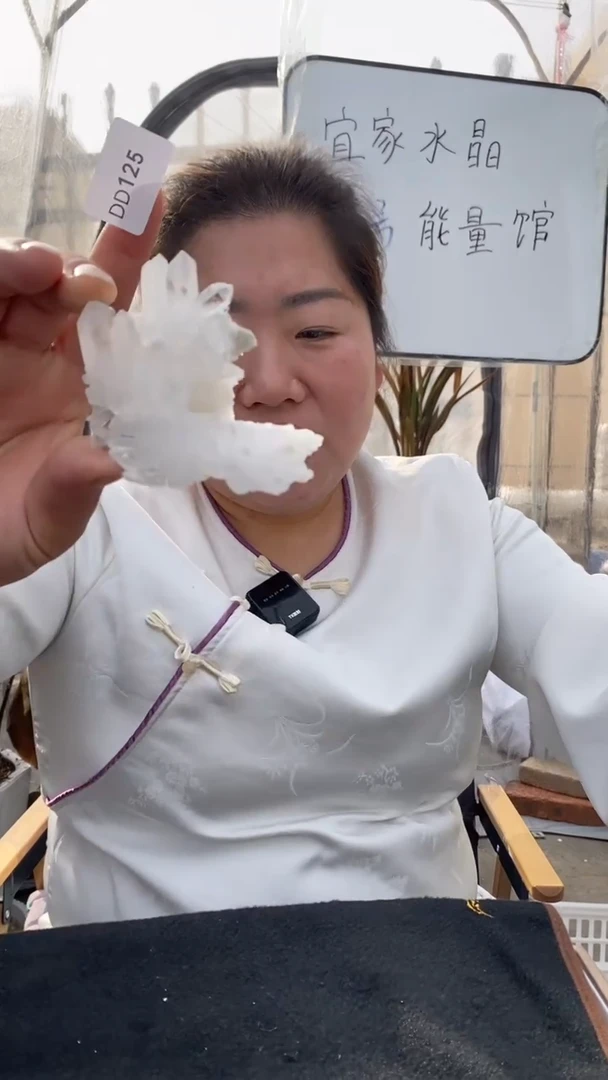 【闪购商品】水晶原石未镶嵌喜马拉雅原石D125