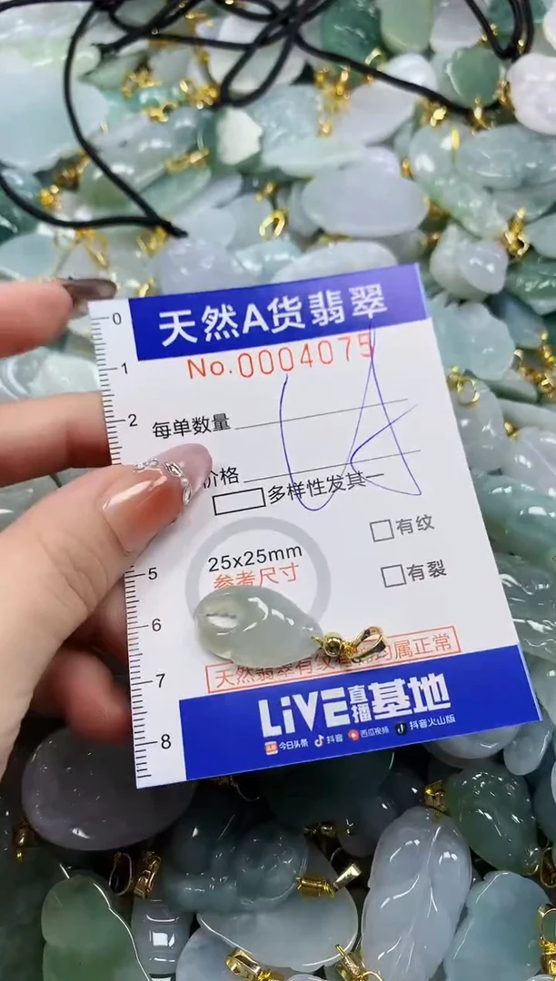 颈饰未镶嵌翡翠天然A货翡翠