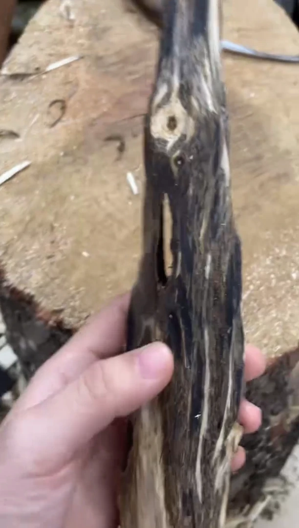 沉香碎屑沉香棋楠沉香 原料文创1