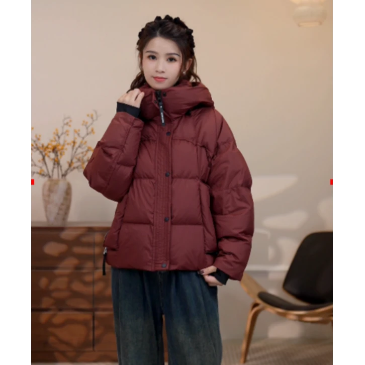 2024新款宽松时尚小个子穿搭爆款潮流羽绒服2204