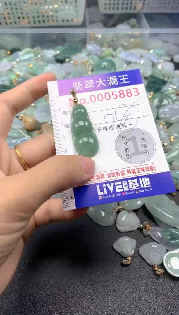 颈饰未镶嵌翡翠5883