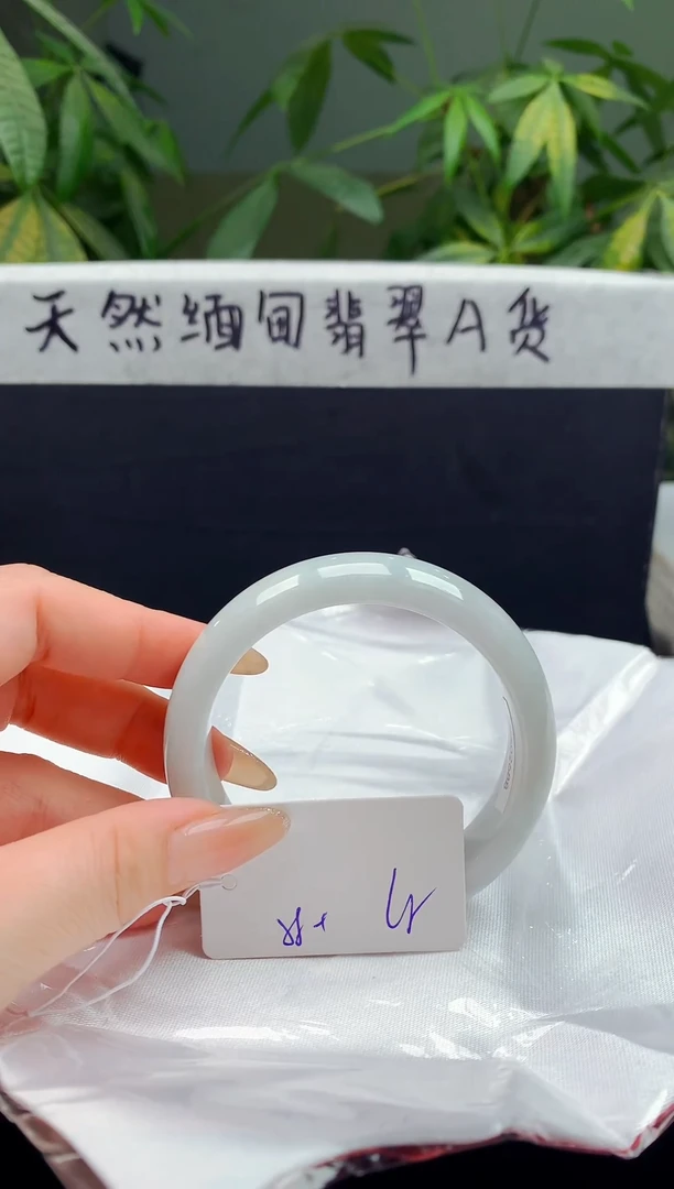 未镶嵌手镯翡翠47