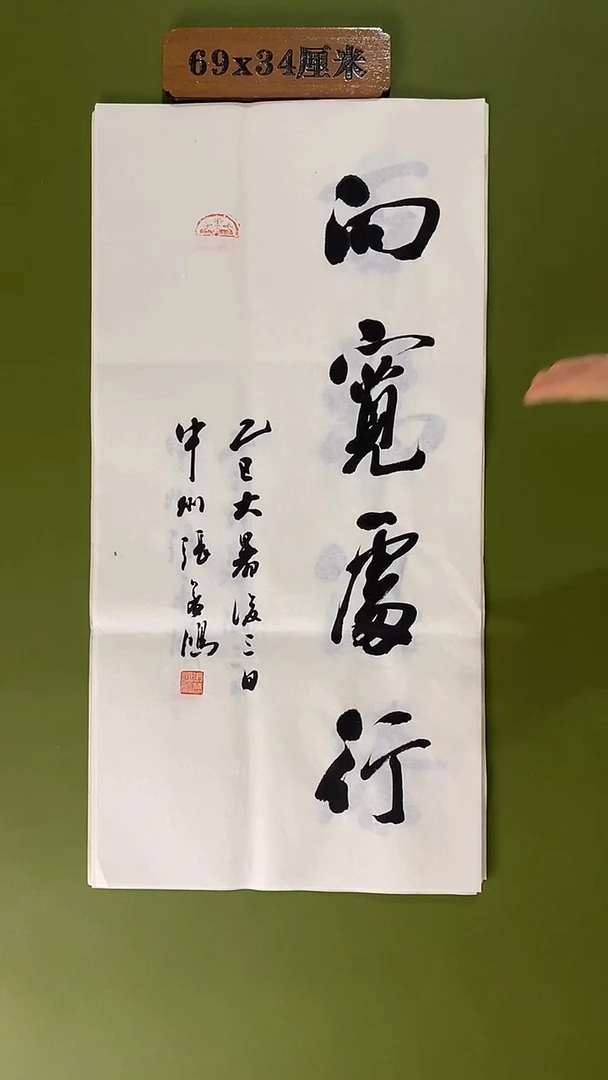 书法书法 张若鸿 尺寸69cm*34cm