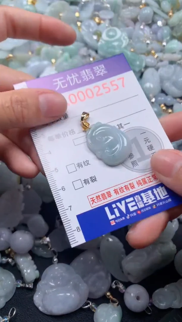 颈饰未镶嵌翡翠2557
