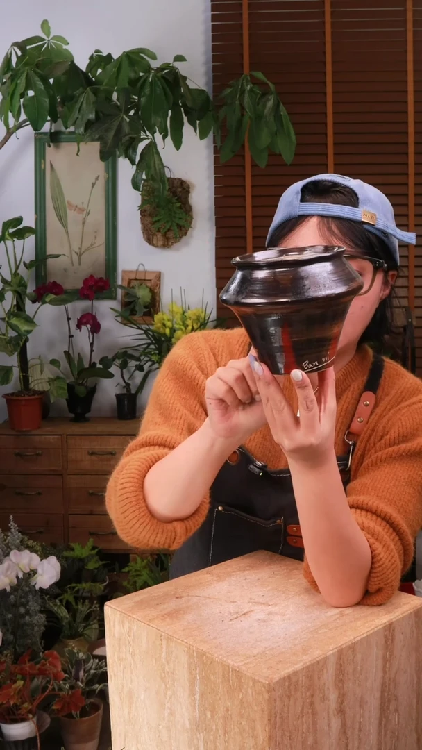 无花朵 28-105 一个盆 中通发货