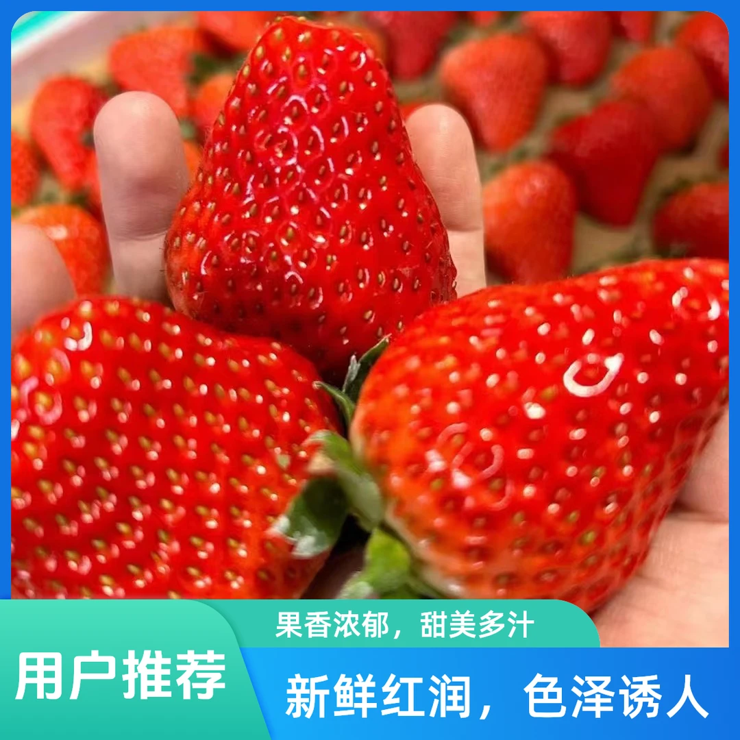 [基地直采] 巧克力草莓精2斤99红颜四川省