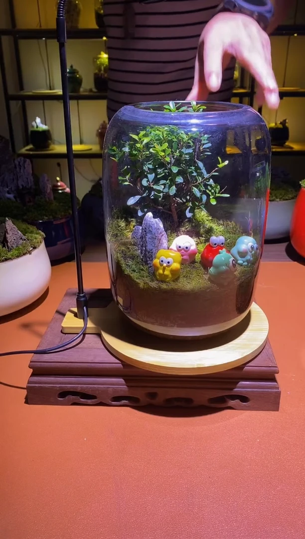 吉鑫福利精选福力