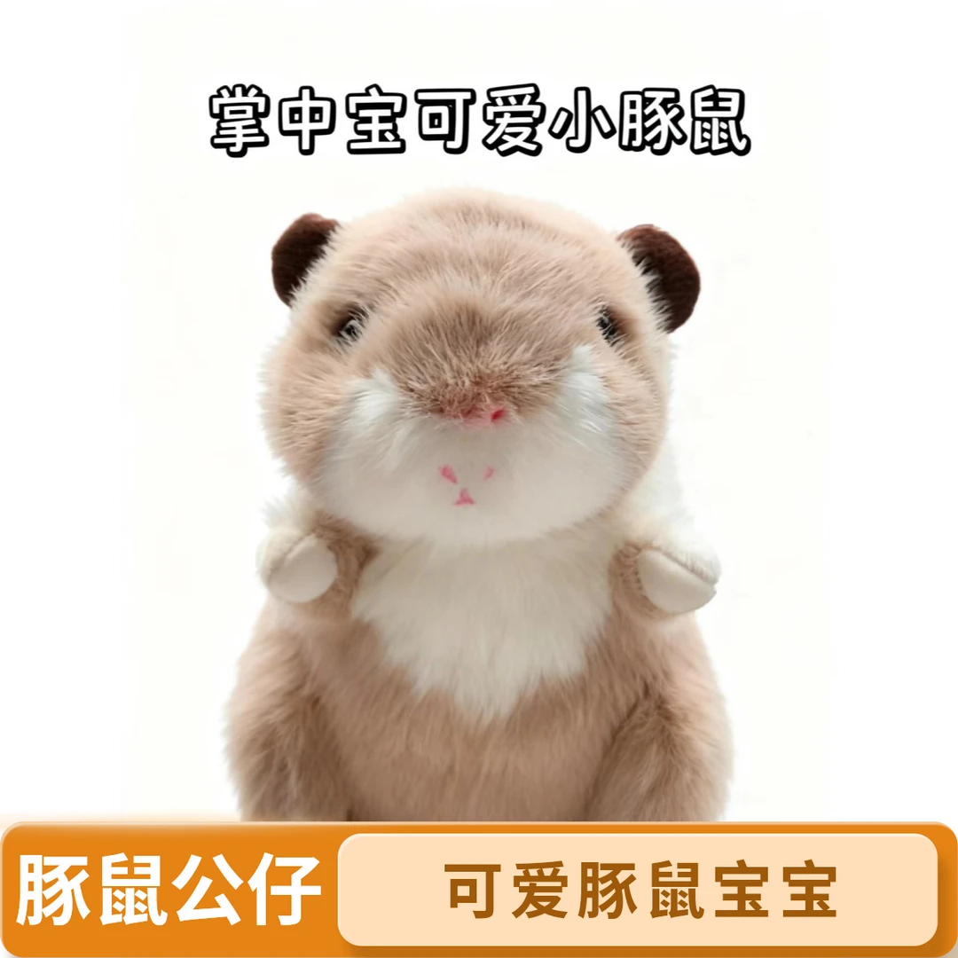 掌中宝豚鼠毛绒公仔玩偶