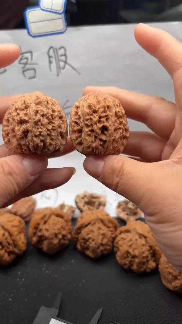 把件文玩核桃349红狮子