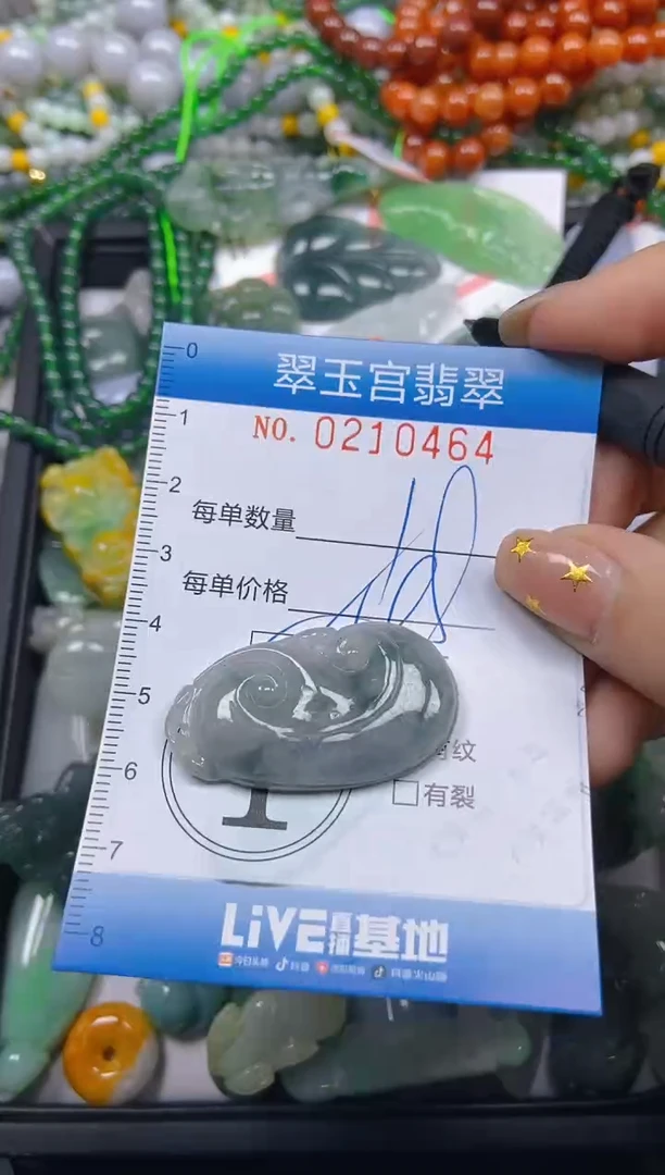 颈饰未镶嵌翡翠闪购C0210464