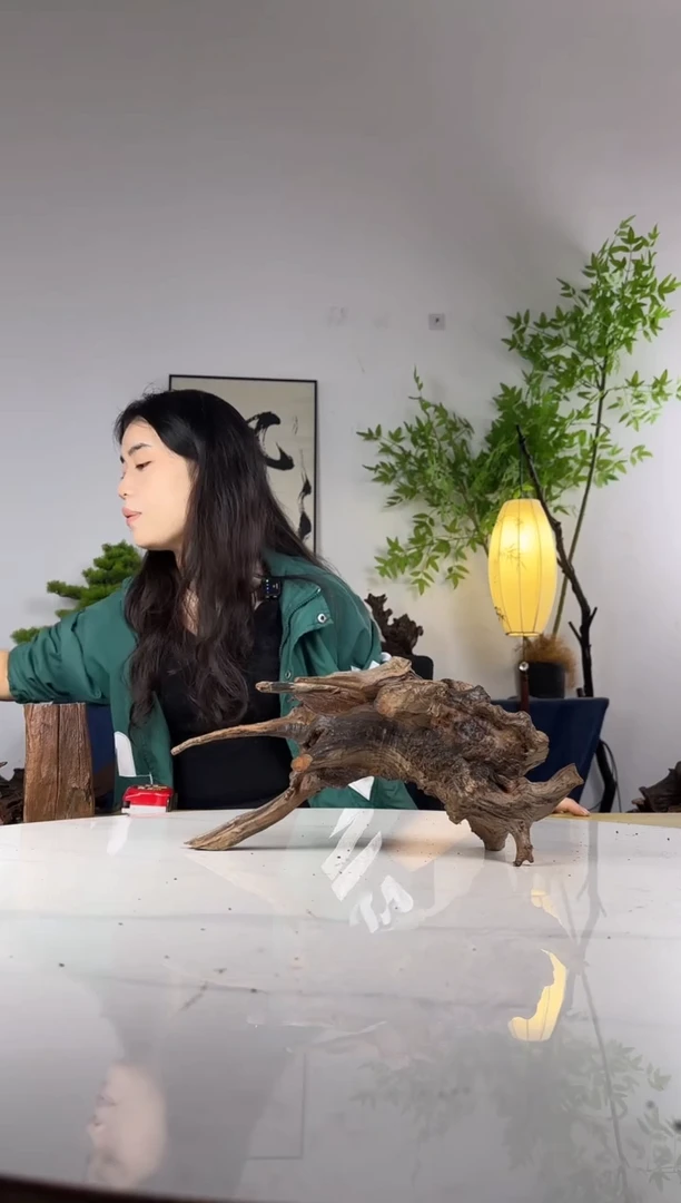 大*拍这个定向编号59