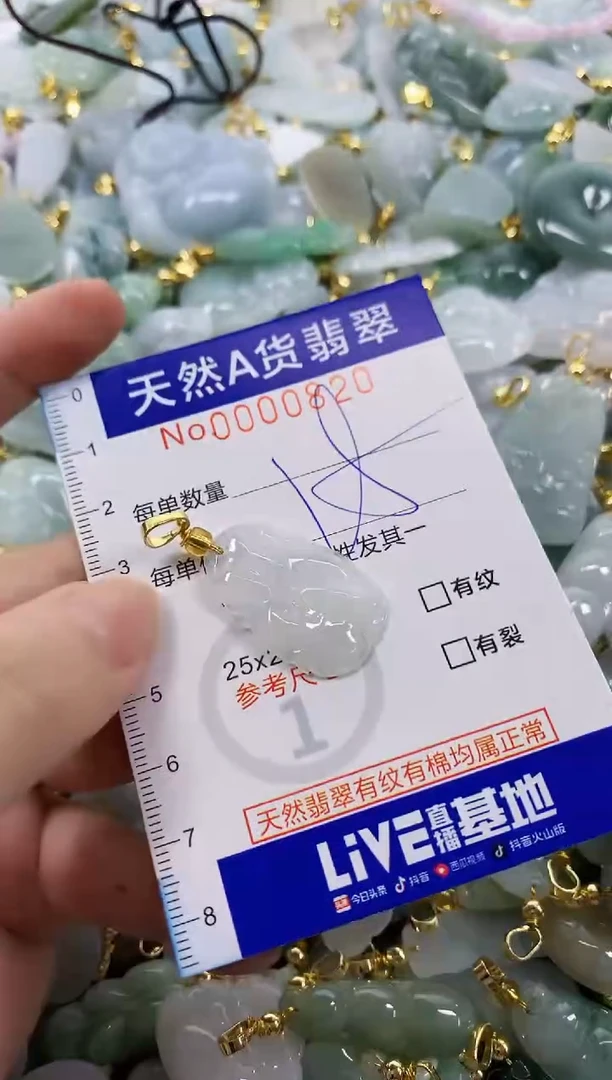 颈饰未镶嵌翡翠天然A货翡翠