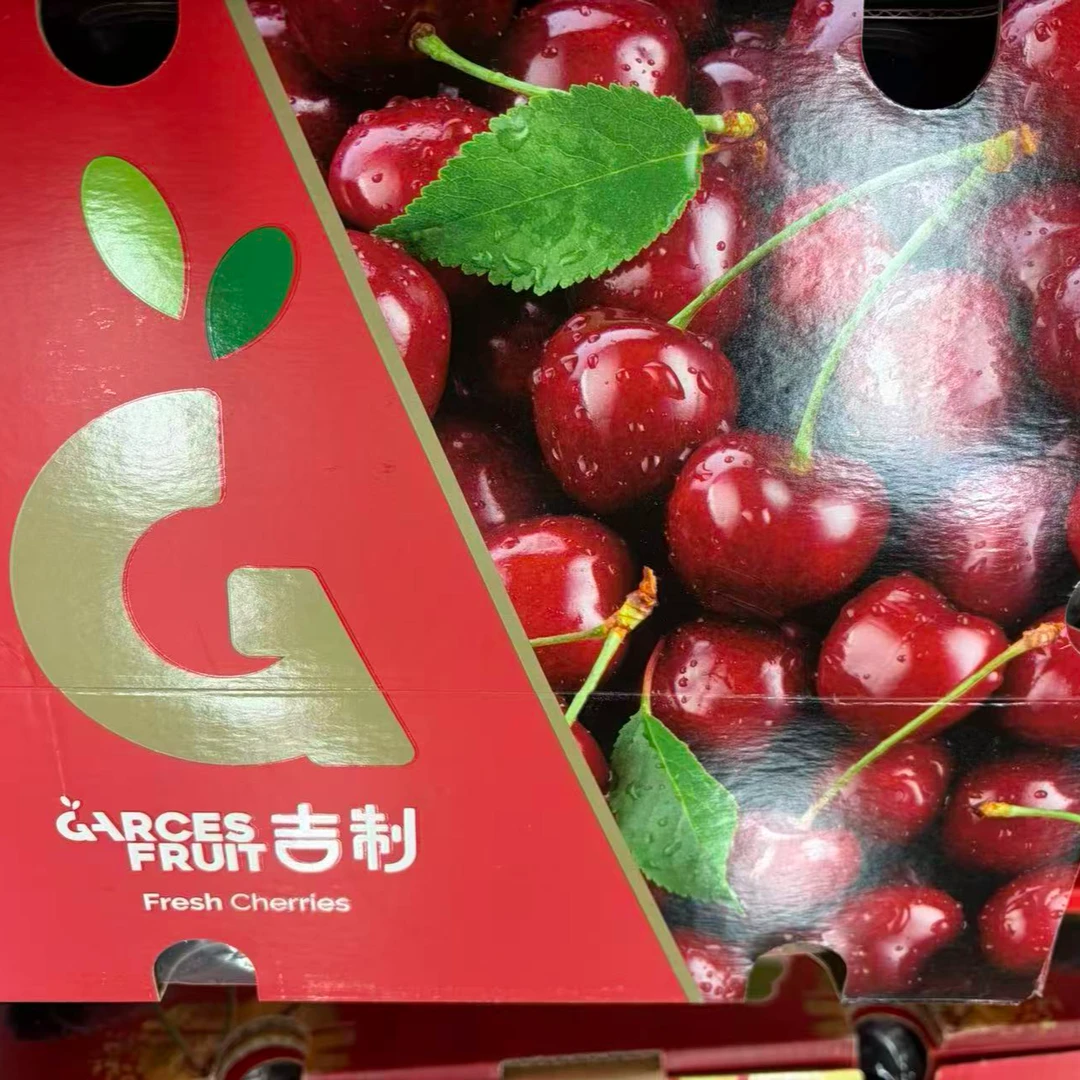 海运吉制桑提娜车厘子j内附果径卡京东包邮