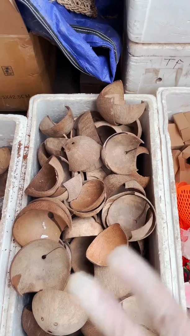 水泡椰壳躲避3个