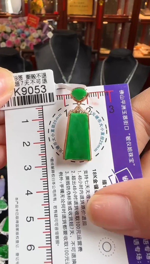 颈饰18K金镶嵌翡翠DK9053辣绿无事牌