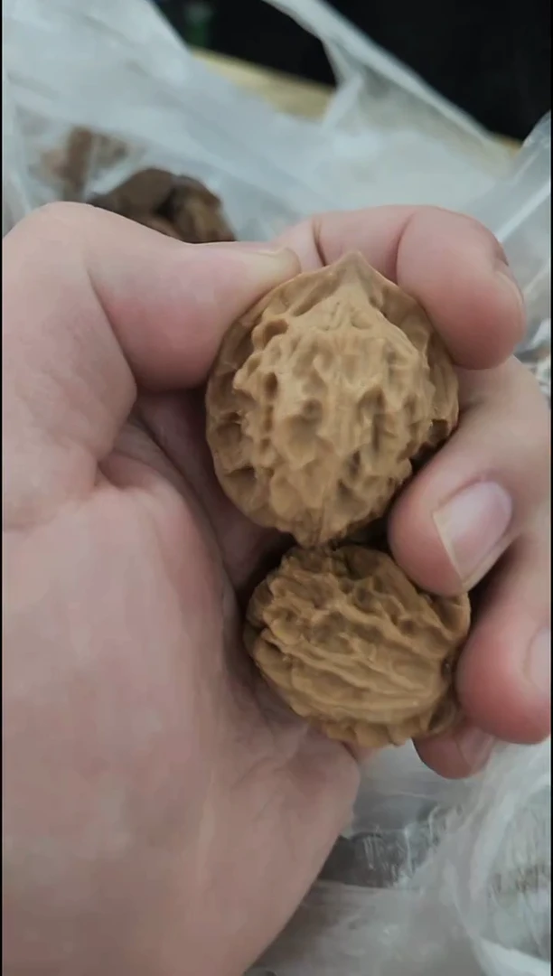 把件核桃【盘山公子帽】开播福利#3422