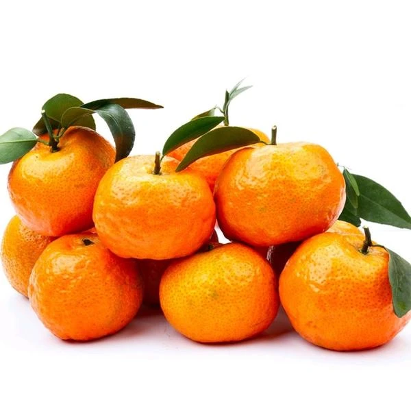 砂糖橘  （箱）毛重约3.5kg