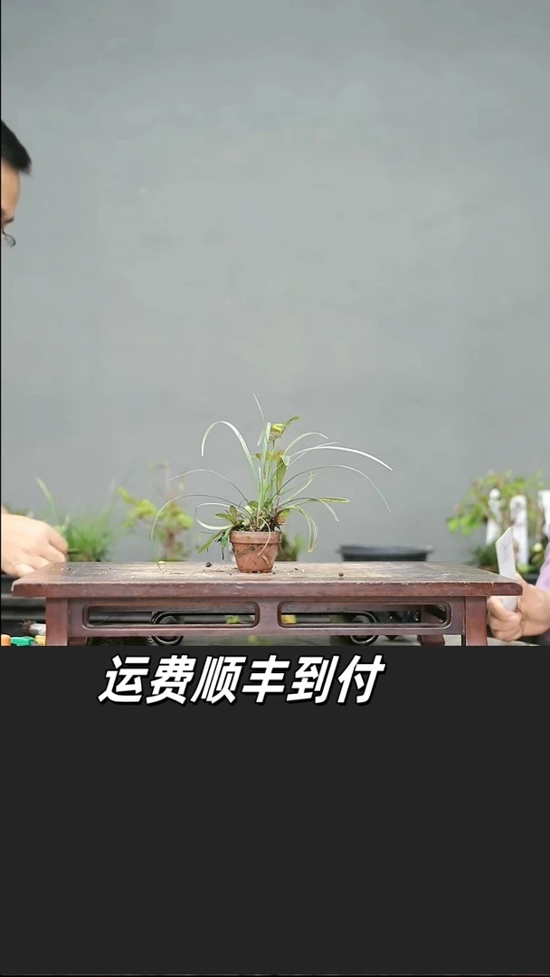 东*49