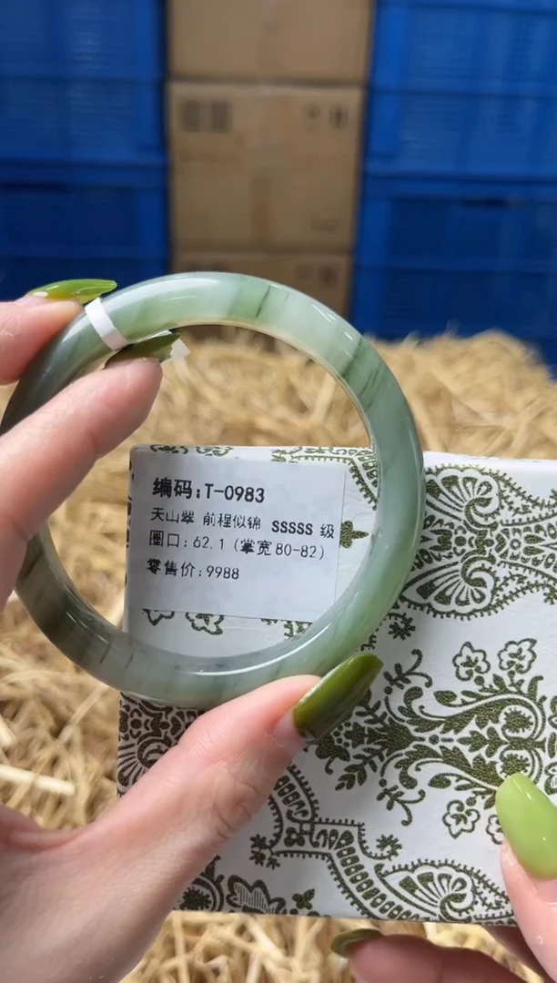 未镶嵌手镯石英质玉T0983