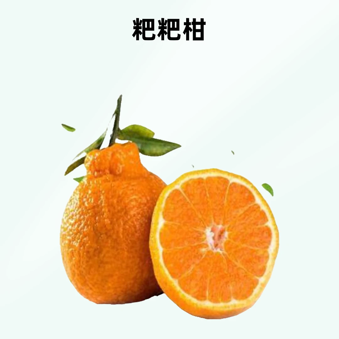 粑粑柑1000g2斤耙耙柑四川省山东省临沂市