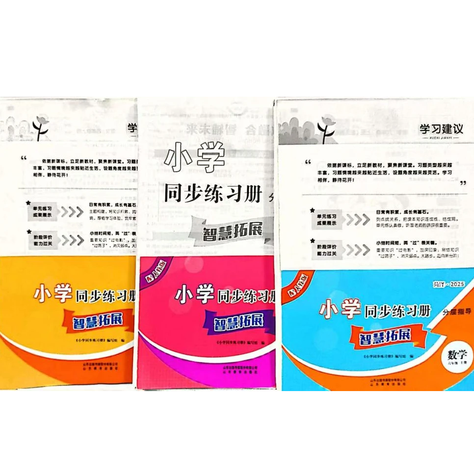 智慧拓展同步练习册