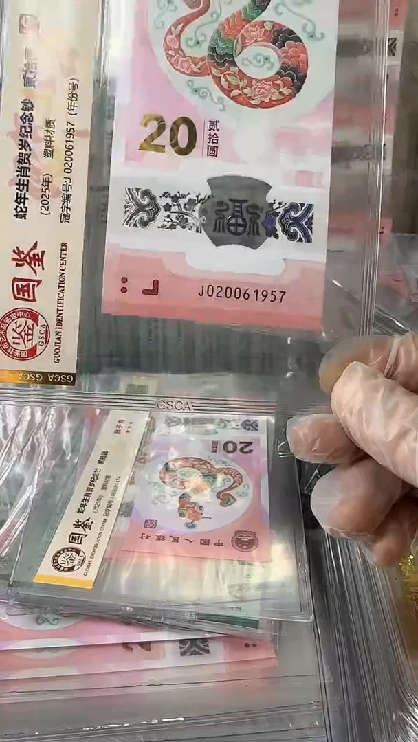 塑料020061957-蛇钞单张