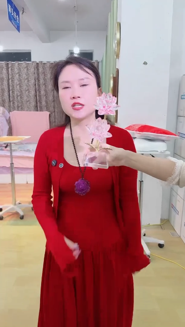 心仪家居外贸孤品A--9