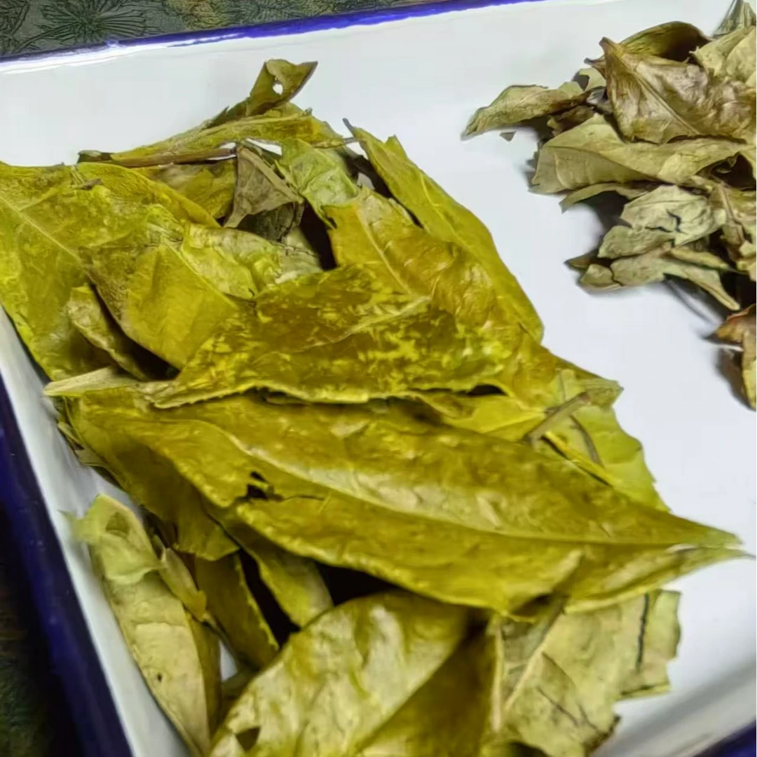 【2024寿眉冬片】准有机福鼎白茶小师姐评茶10月13