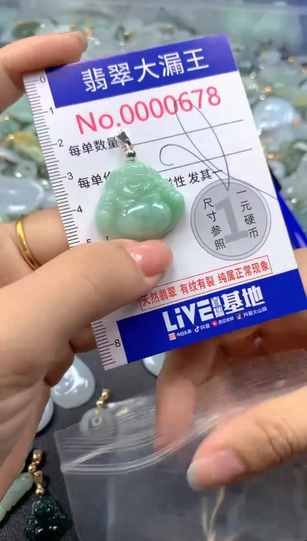 颈饰未镶嵌翡翠678