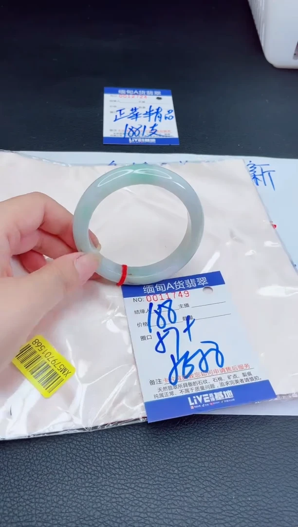 未镶嵌手镯翡翠我t1