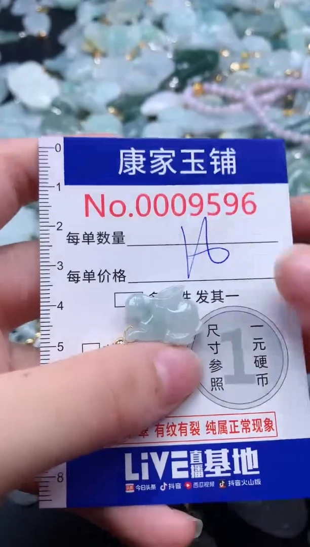 颈饰未镶嵌翡翠9596