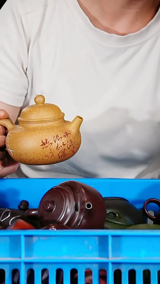 宜兴原矿紫砂壶茶壶300C