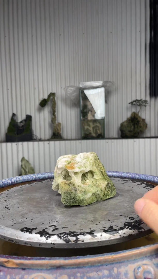 吴定石一物一拍专属