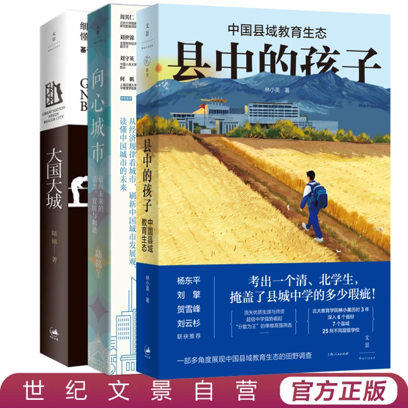 中国之治套装丨建立理解中国经济的新常识县中的孩子大国大城