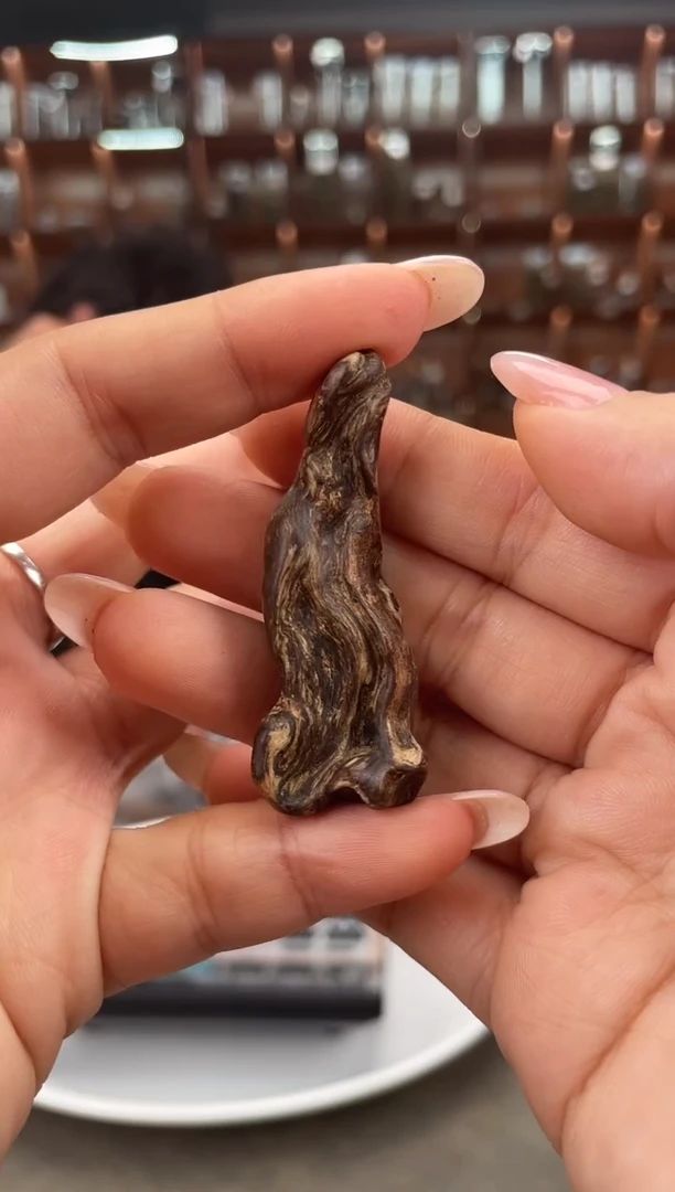 【闪购商品】沉香摆件118号沉水文莱 块料多样性发一个