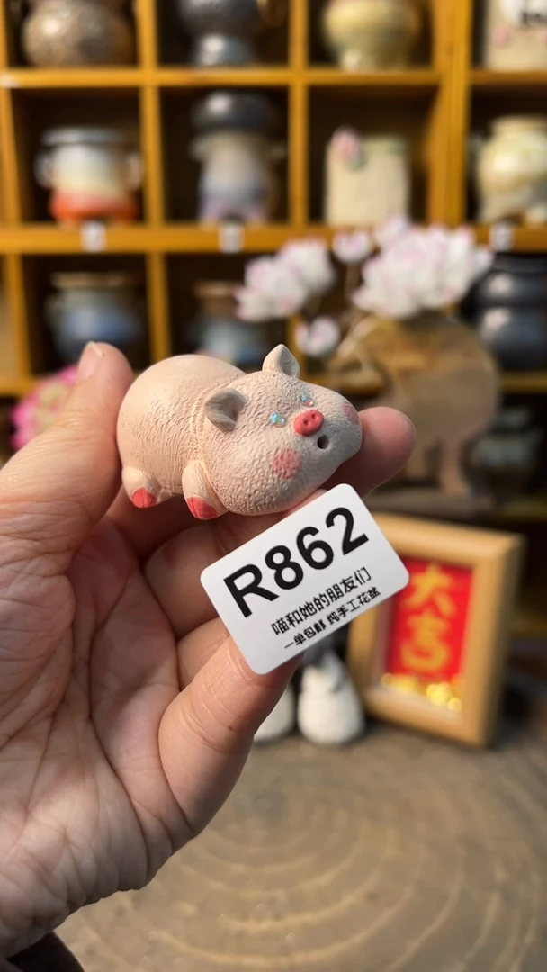 862 摆件【多肉花盆多肉盆】