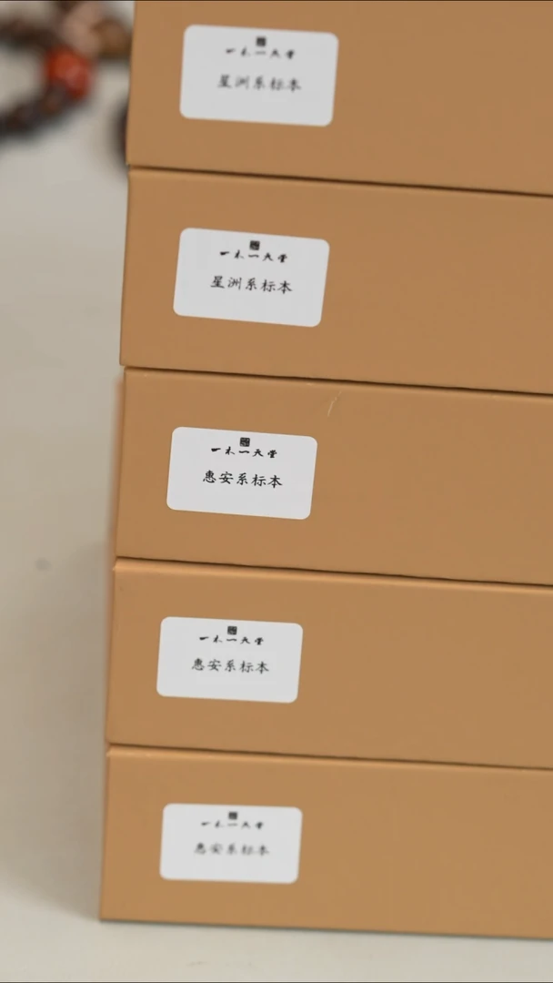 沉香沉香碎屑z*y标本套装香粉