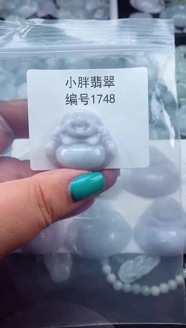 颈饰未镶嵌翡翠缅甸天然A货翡翠1748