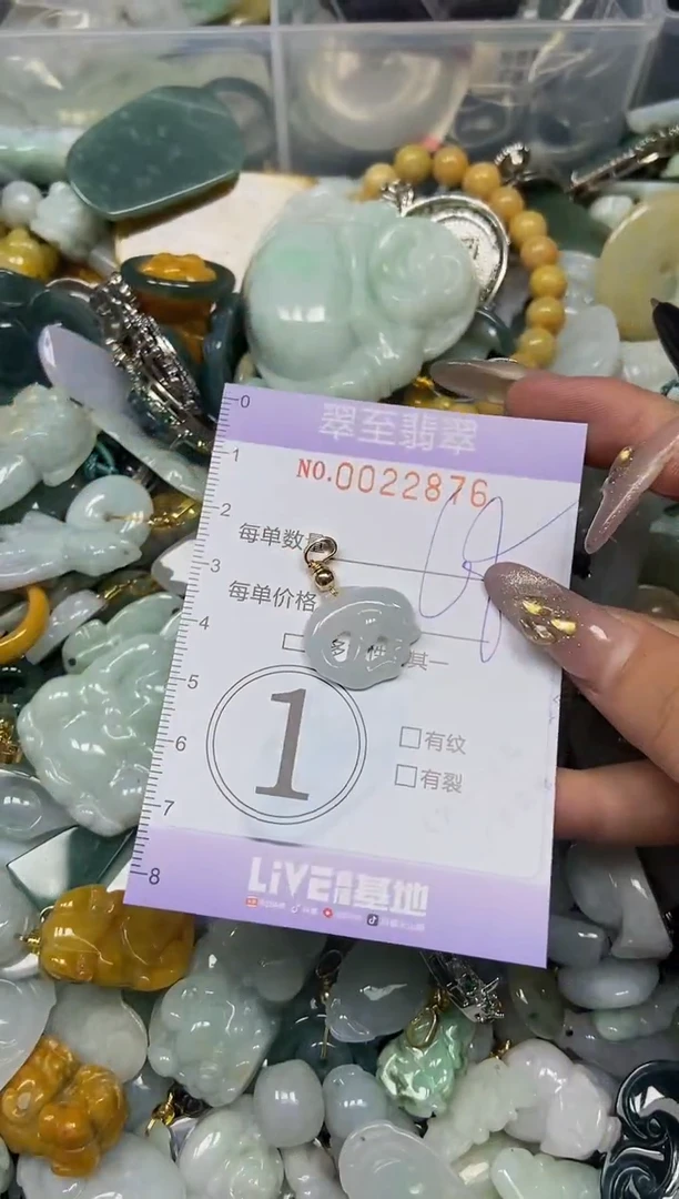 【闪购商品】翡翠颈饰未镶嵌闪购0022876