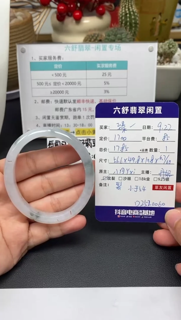 未镶嵌手镯翡翠臻*D2520060