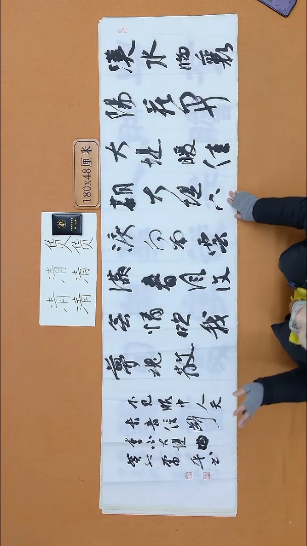 书法雷平 内蒙古理s  兰亭书家届展 48*180 八平尺