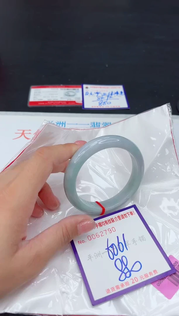 未镶嵌手镯翡翠1