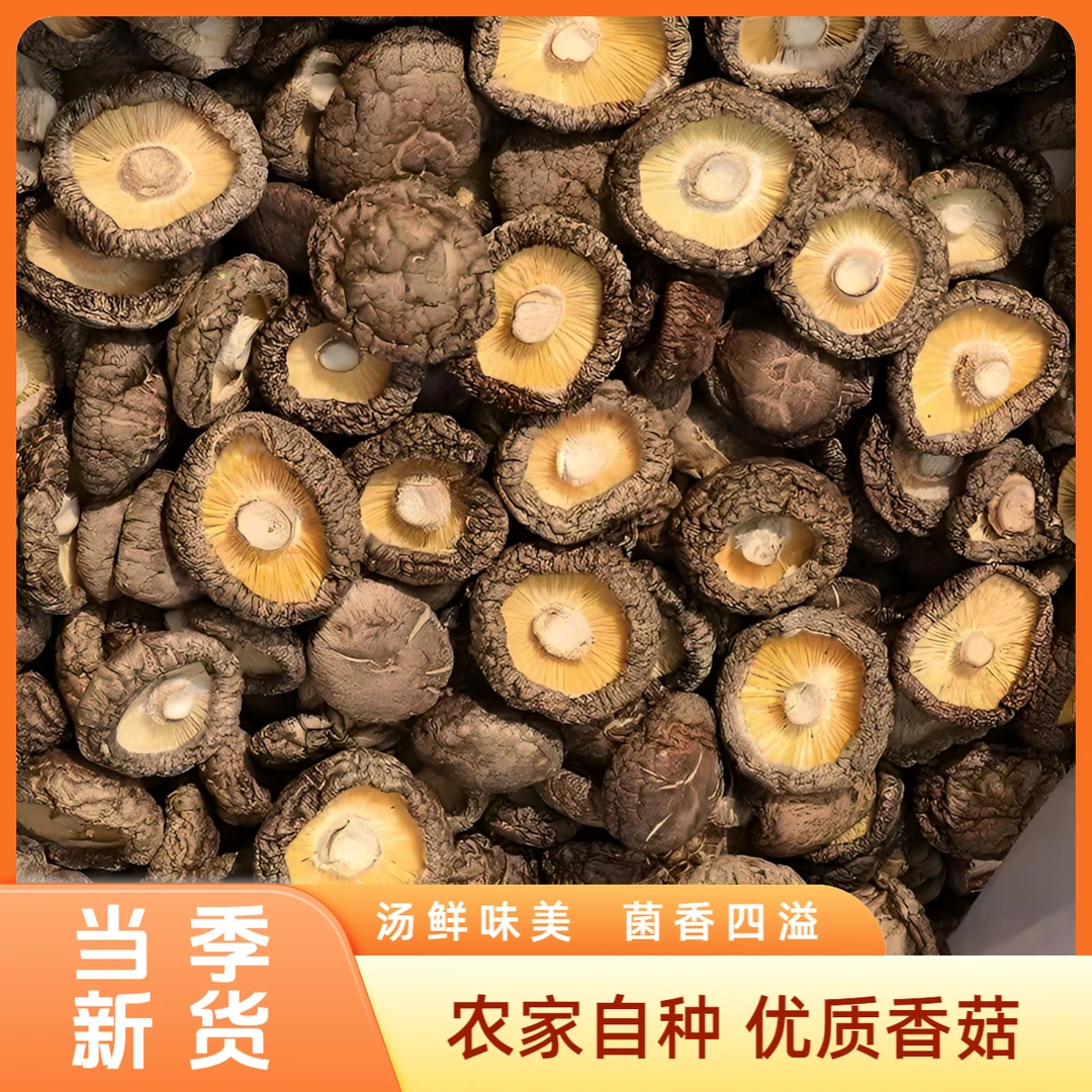 【当季】干香菇新货古田特产椴木香菇煲汤炖肉美味菌类干货肉厚美味