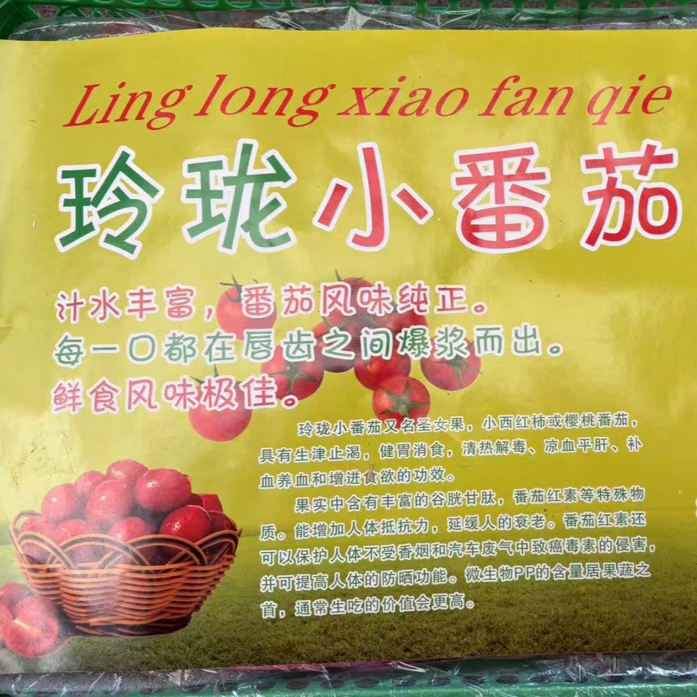 海南玲珑小番茄2斤净重玲珑小番茄海南省