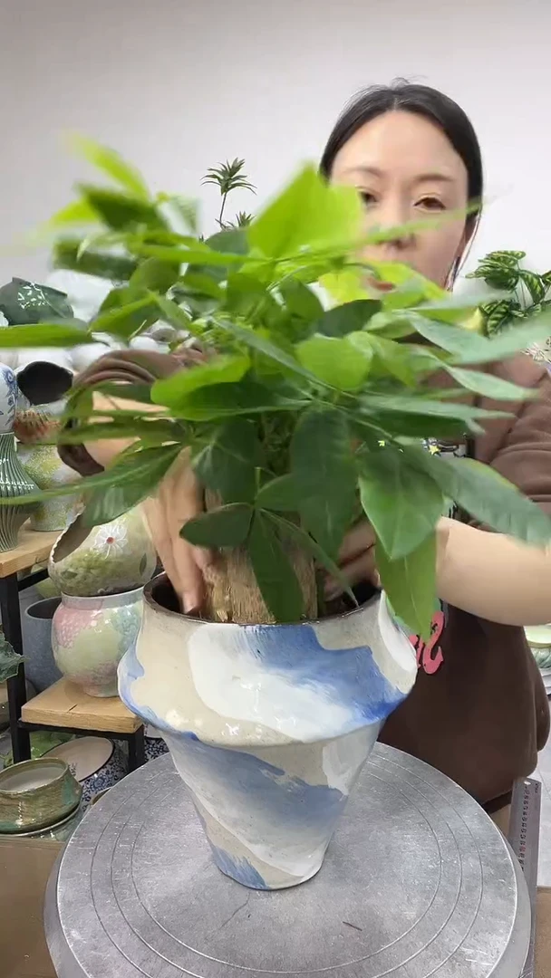 9.5陶瓷花盆直播链接高.      口